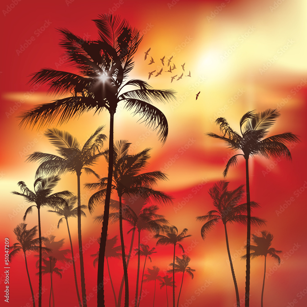 Exotic Palm Trees at sunset Background
