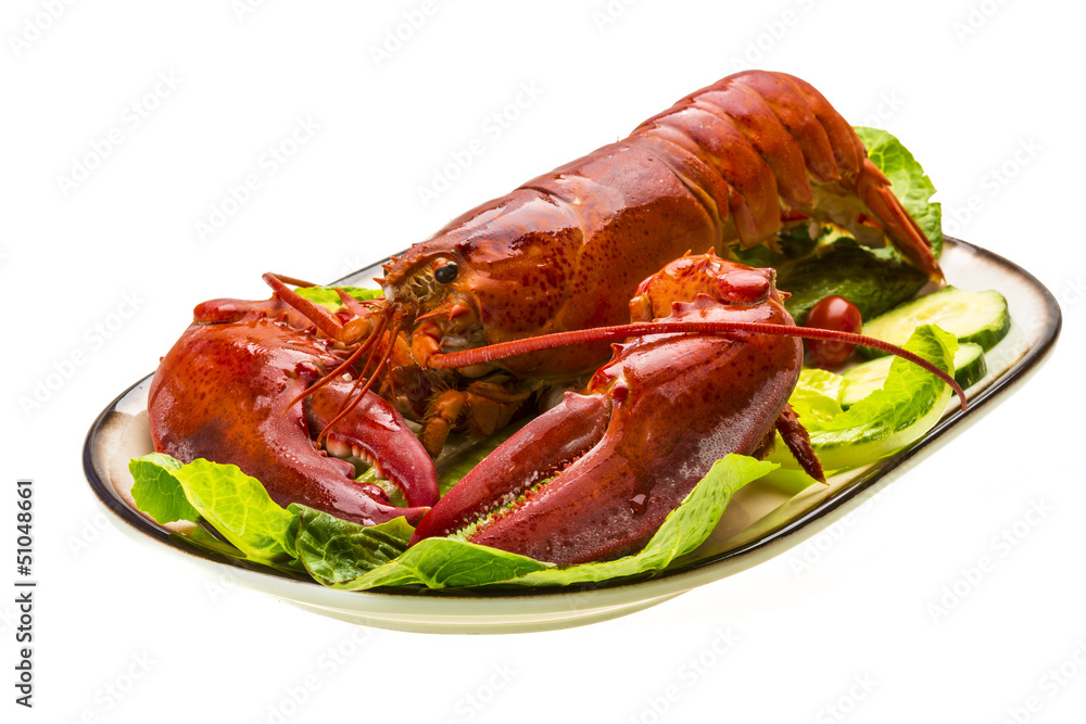 Large Lobster