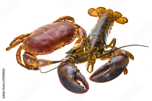 Raw Lobster and Crab