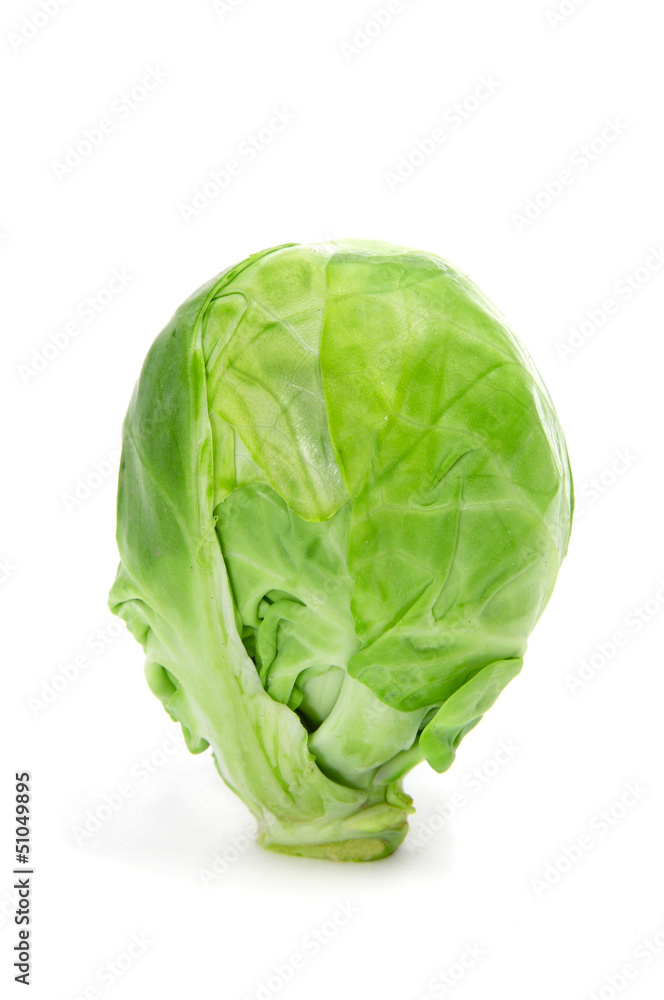 Brussels sprout Brussels sprout