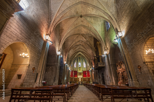 Church of Solsona.Catalonia.Spain photo