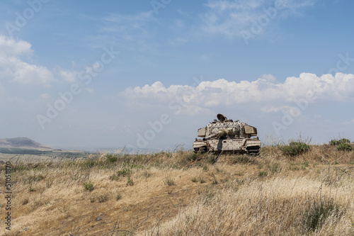 View of panzer on grassy landscape