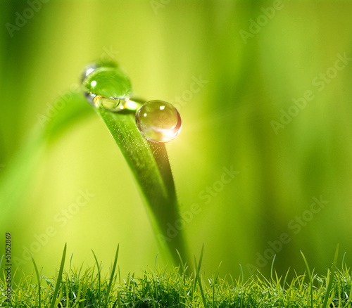 water drop on the green background