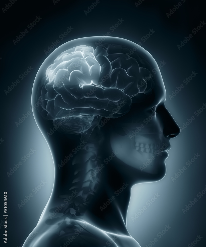 Obraz premium Parietal lobe medical x-ray scan