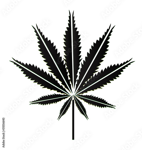 cannabis leaf vector illustration