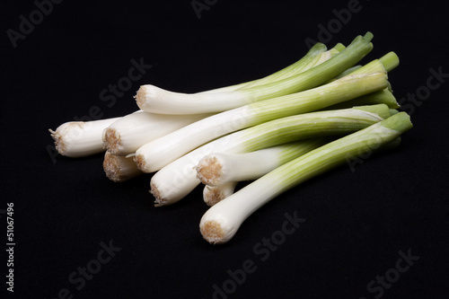 Fresh baby leek on black background