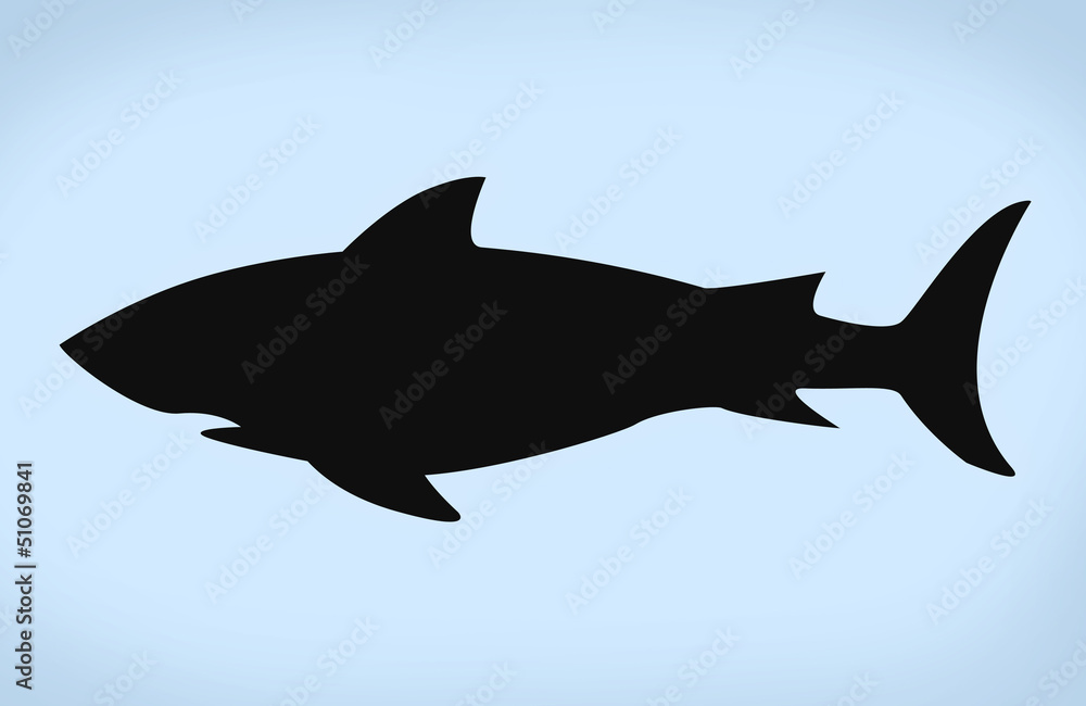 Obraz premium shark silluet