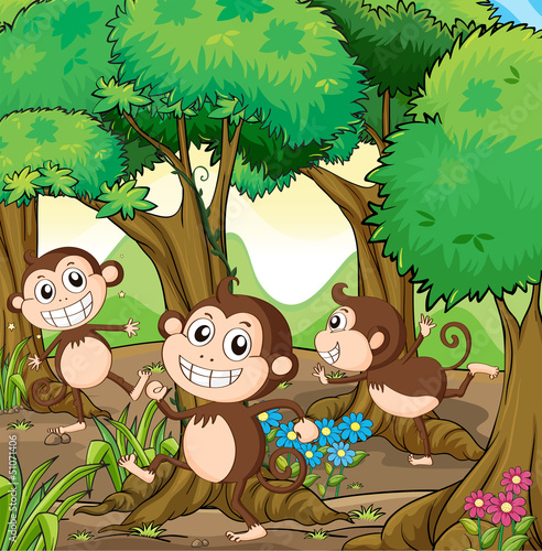 Three monkeys playing at the forest
