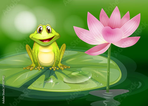 A frog beside the pink flower at the pond