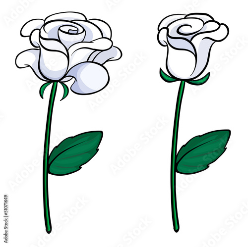 Two white roses