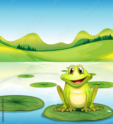A frog above the waterlily in the pond