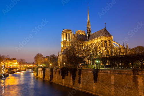 Cathédrale Notre-Dame de Paris © rochagneux