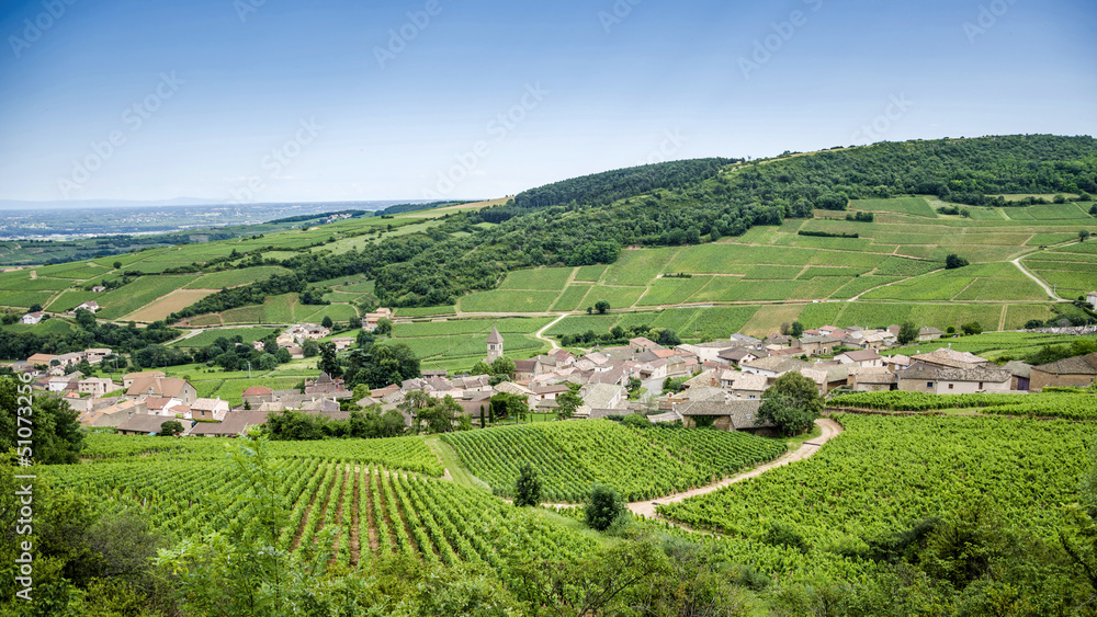 Old village with vineyards