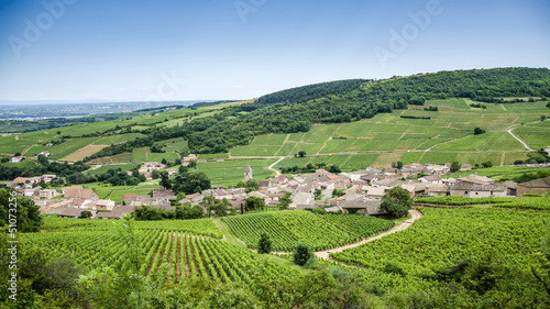 Old village with vineyards