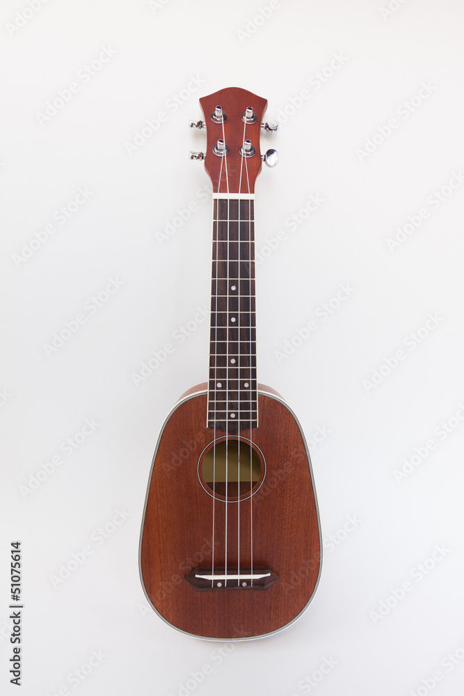 Obraz premium Ukulele