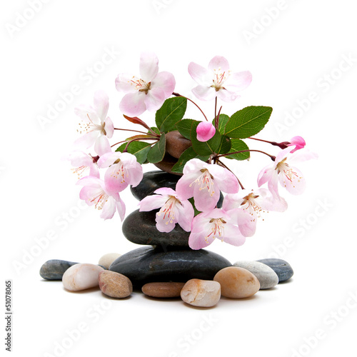 Zen   spa stones with flowers