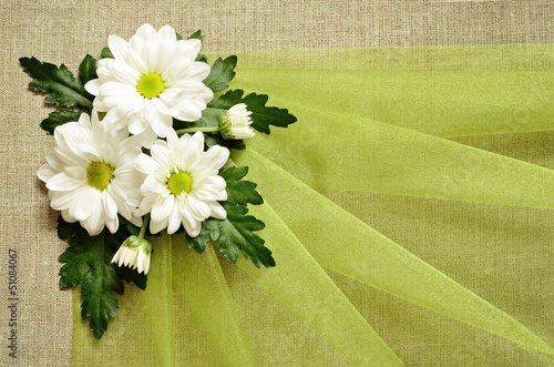 Daisies and organza