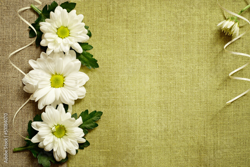 Daisies arrangement on canv...