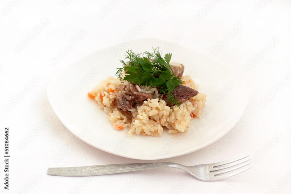 Rice and meat with vegetables.