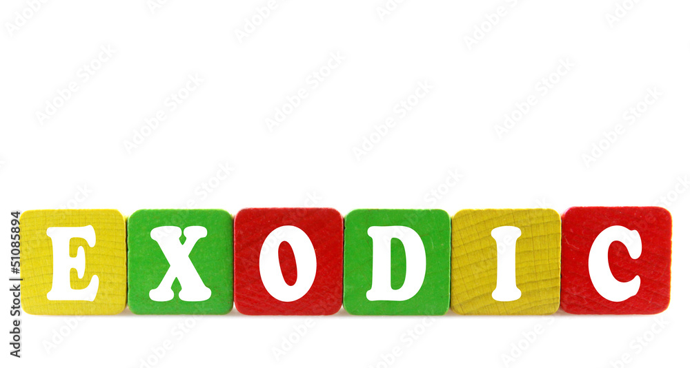 exotic - isolated text in wooden building blocks exotic - isolated text in wooden building blocks