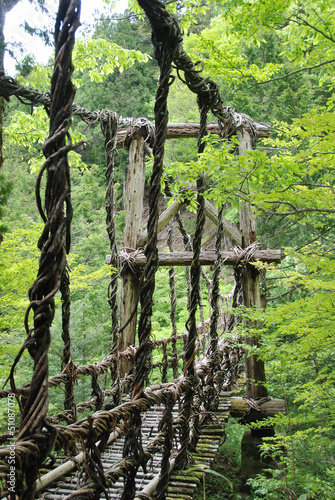 Pont de lianes et bambou Kazura-bashi à Oku Iya, Shikoku