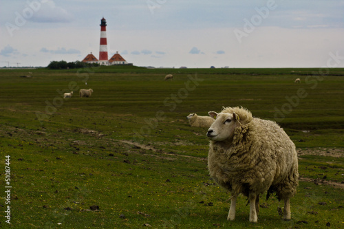Leuchtturm mit Schaf
