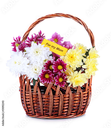 Bouquet of beautiful chrysanthemums in wicker basket isolated