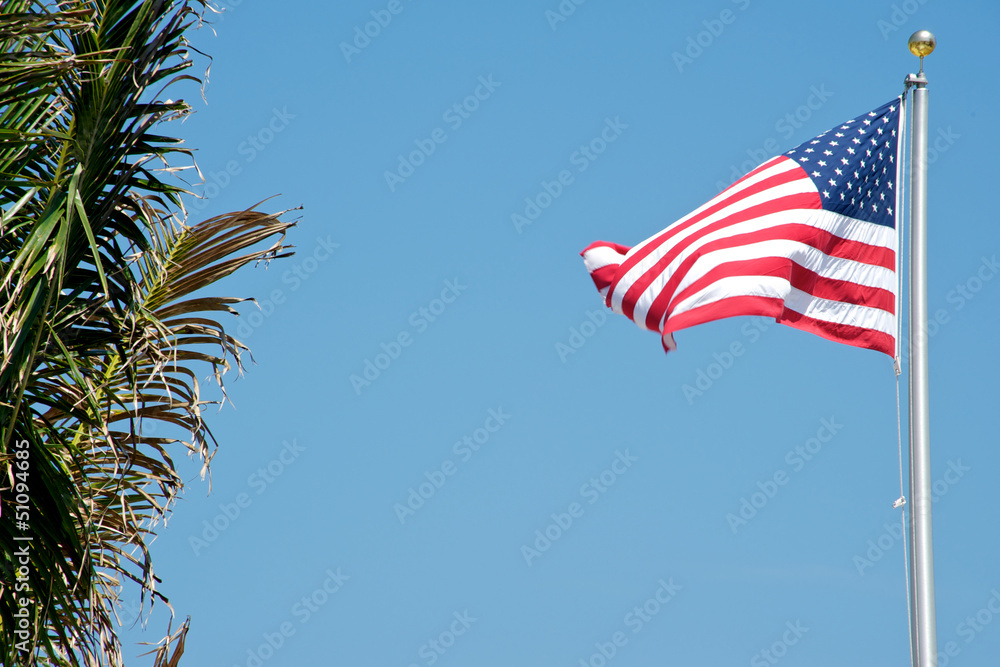 Fototapeta premium U.S. Flag