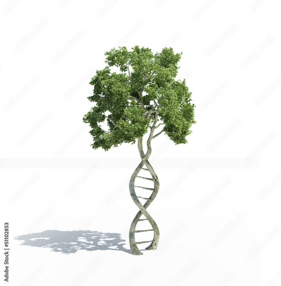 DNA shaped tree Stock Illustration | Adobe Stock