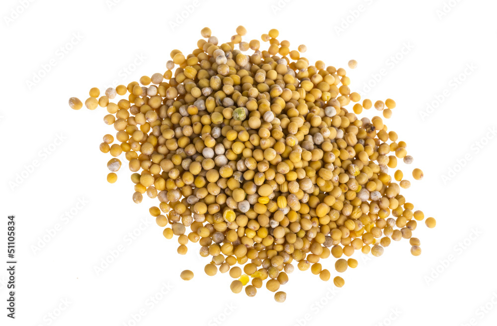 yellow mustard seeds yellow mustard seeds