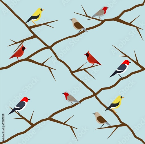 bird pattern