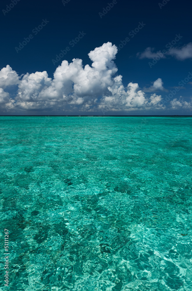 Obraz premium Crystal clear turquoise water at tropical beach