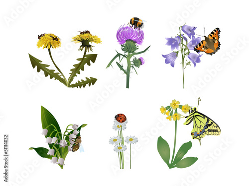 Wild nature set