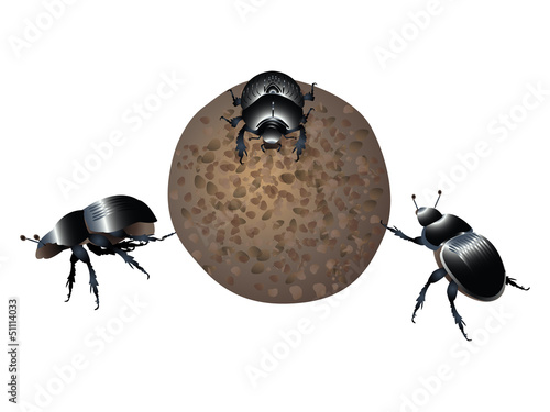 Dung beetles