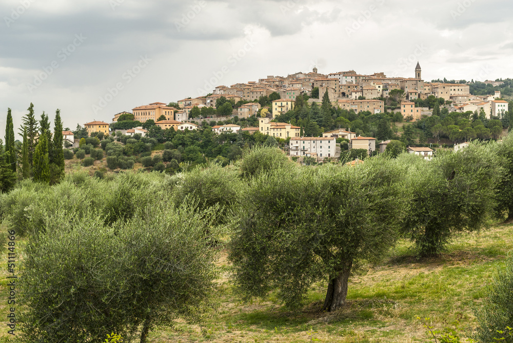 Panoramic view of Seggiano, in Tuscany