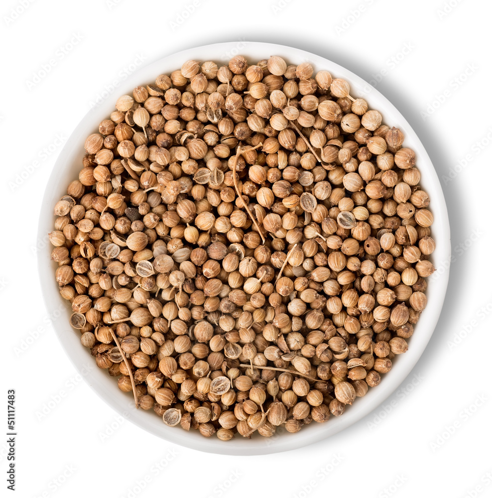 Cilantro in plate isolated Cilantro in plate isolated