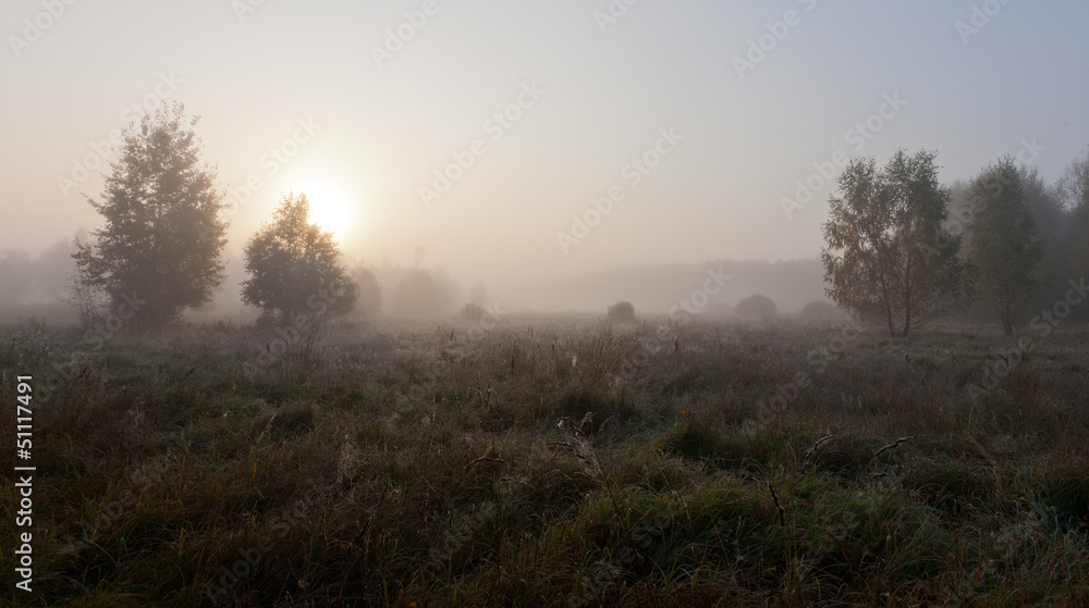 Autumnal grassland  in misty morning with sun over meadow