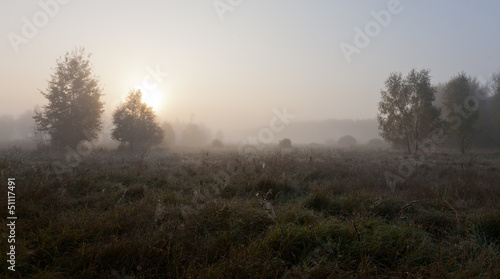 Autumnal grassland  in misty morning with sun over meadow © Aleksander Bolbot