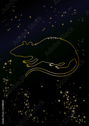 Chinesisches Horoskop - Ratte am Sternenhimmel