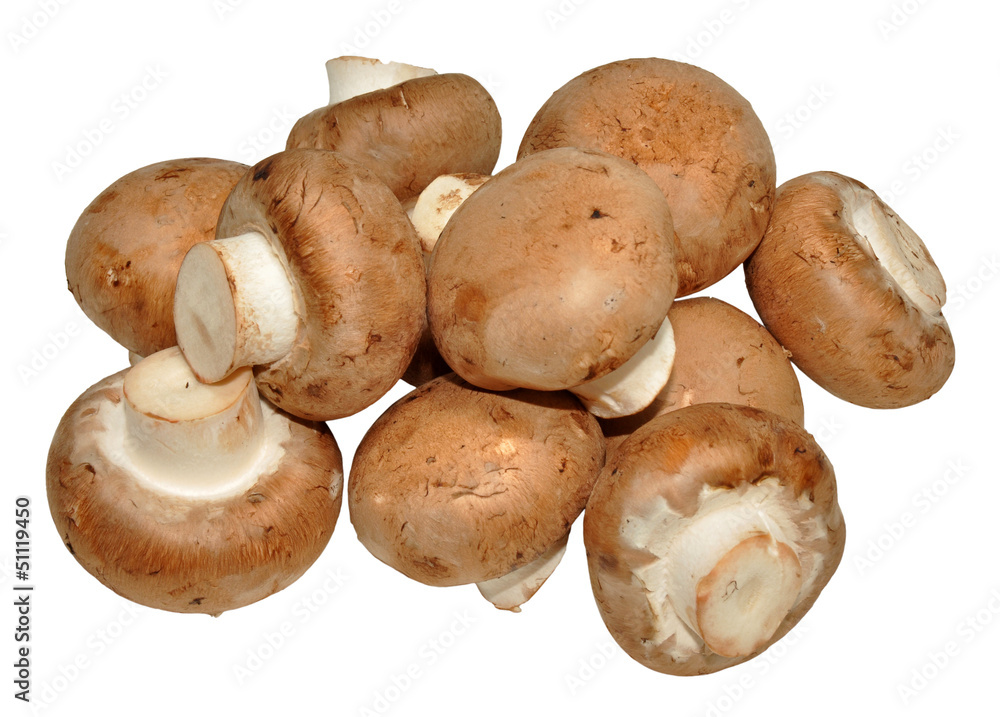 Chestnut Mushrooms Isolated On White Chestnut Mushrooms Isolated On White