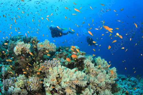 Fototapeta Naklejka Na Ścianę i Meble -  Two Scuba Divers diving on coral reef