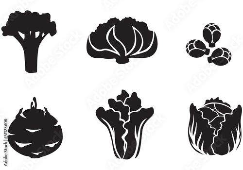 Cabbage set