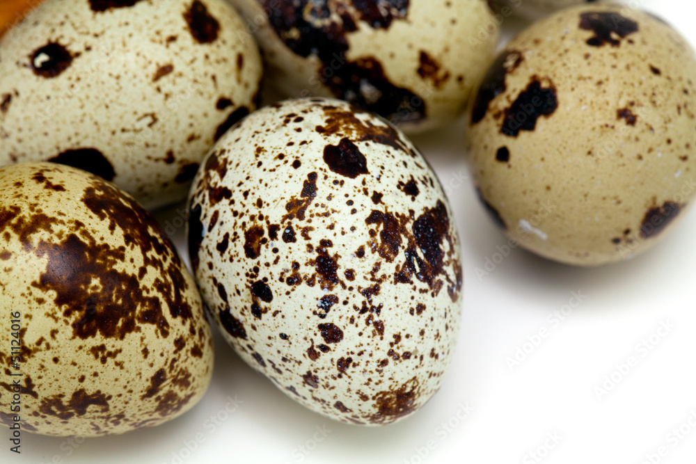 Obraz premium quail eggs isolated on white background