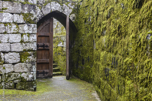 Fototapeta Naklejka Na Ścianę i Meble -  Soutomaior Castle, Pontevedra, Galicia, Spain