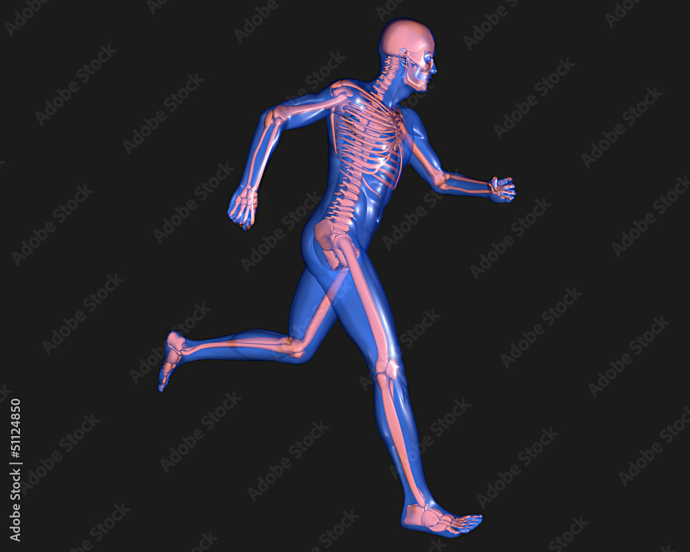 Uomo scheletro in corsa Uomo scheletro in corsa