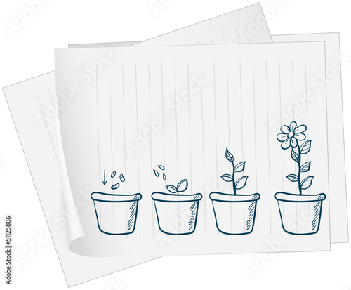 A paper with a drawing of a growing plant