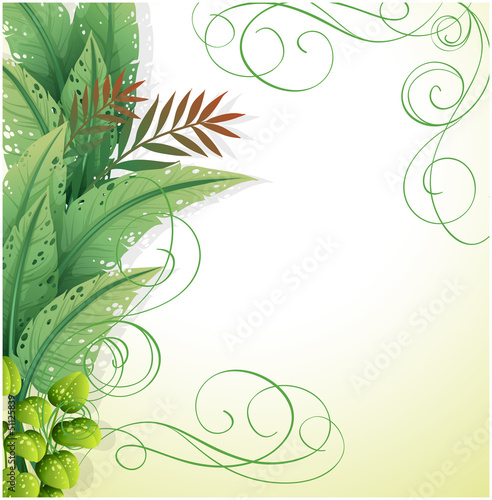 A white paper with green plants