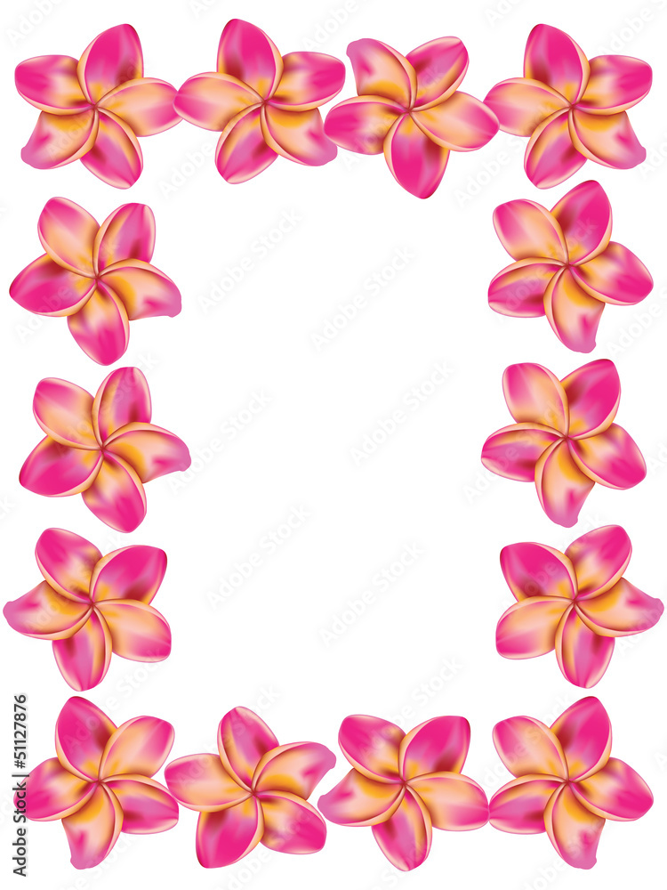 Fototapeta premium Frangipani frame