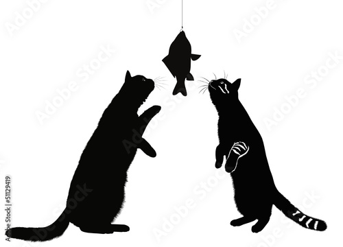 cats and fish animals isolated