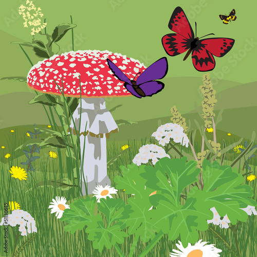 glade with fly agaric